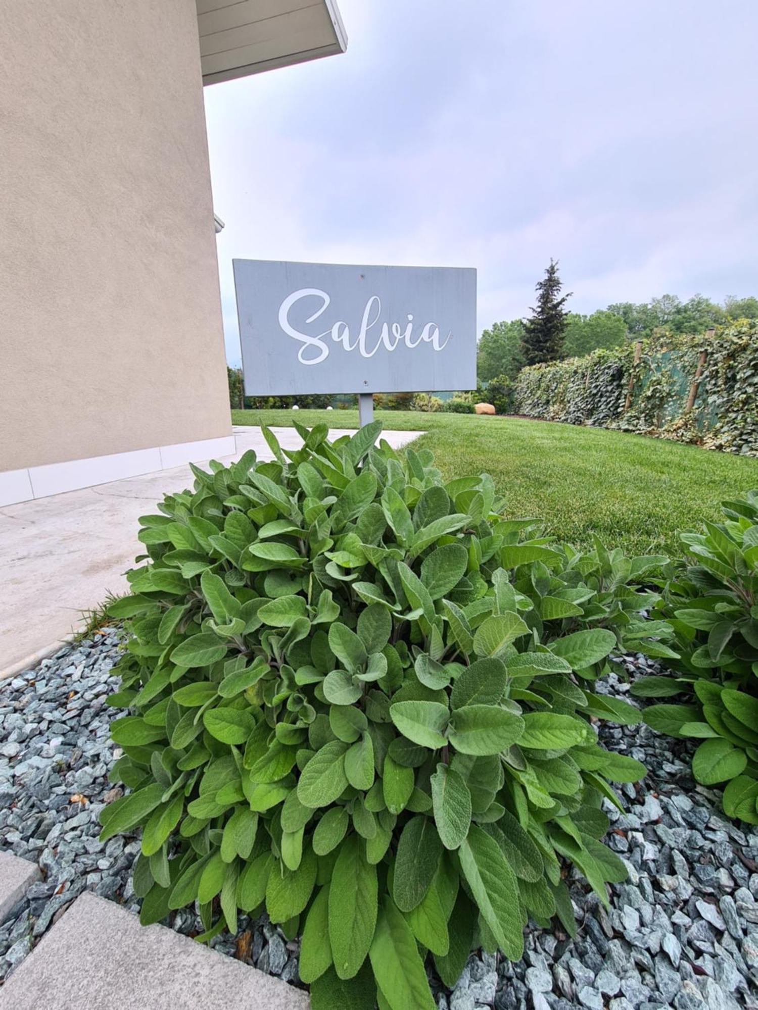 Residence Le Aromatiche Cavaion Veronese Quarto foto